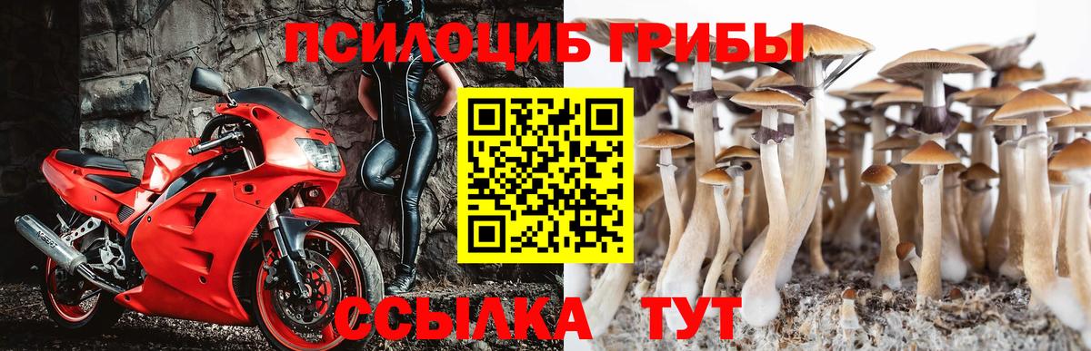 Псилоцибиновые грибы ЛСД Чайковский