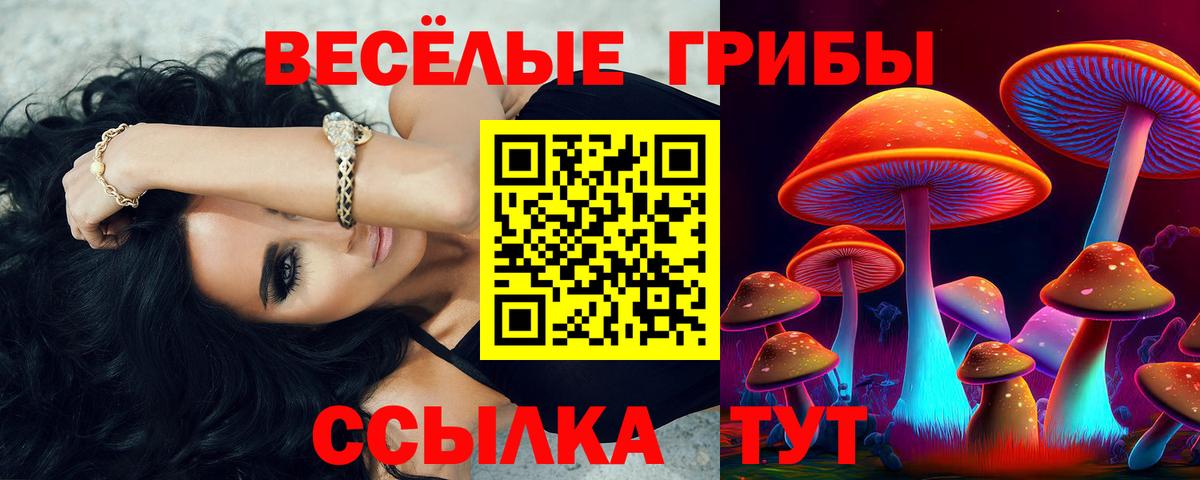 Псилоцибиновые грибы мухоморы  Вход с VPN  Псилоцибиновые грибы мухоморы  Чайковский 