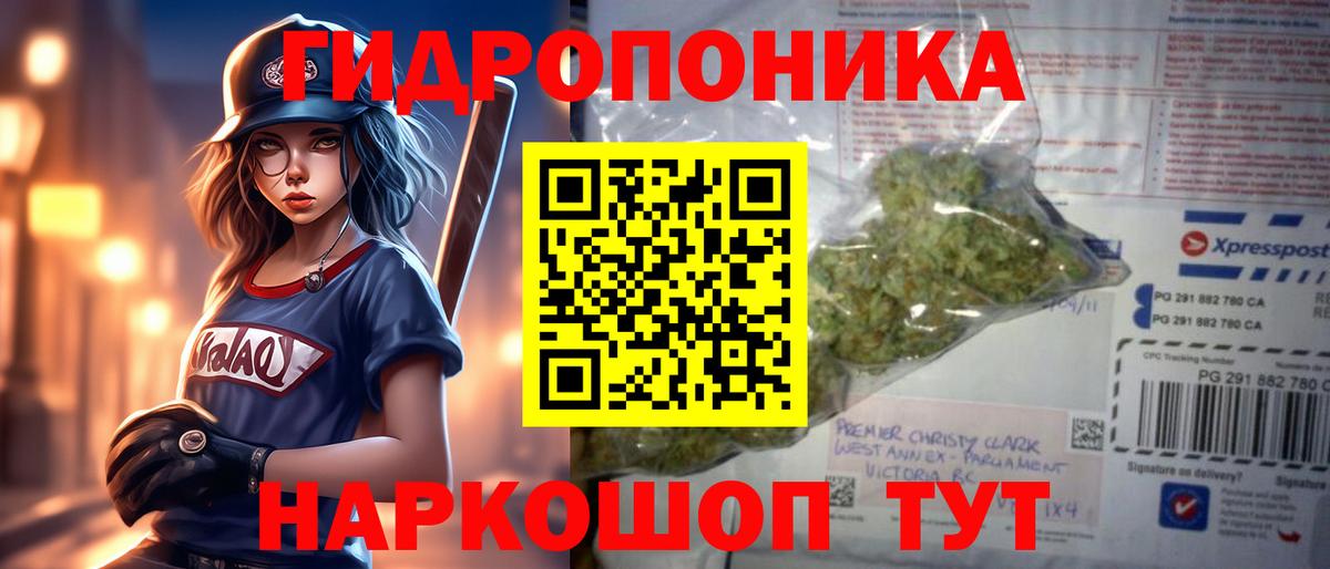 Конопля тримм  Вход с VPN  Чайковский  Конопля White Widow  Бошки марихуана конопля 